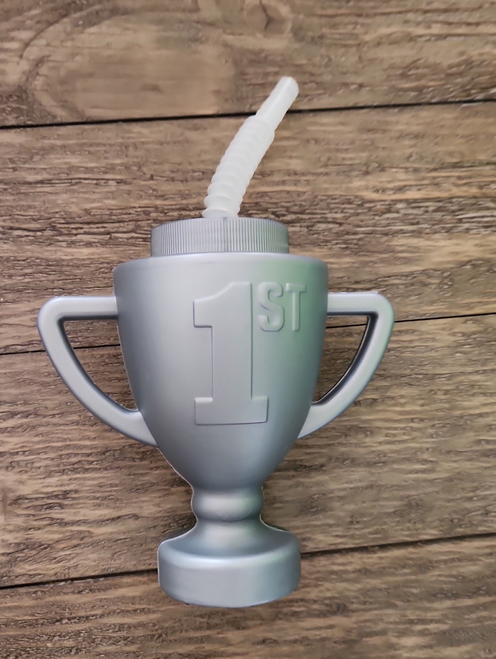 Trophy Reusable BPA-Free Plastic Cups with Lids & Straws - 12 Ct.